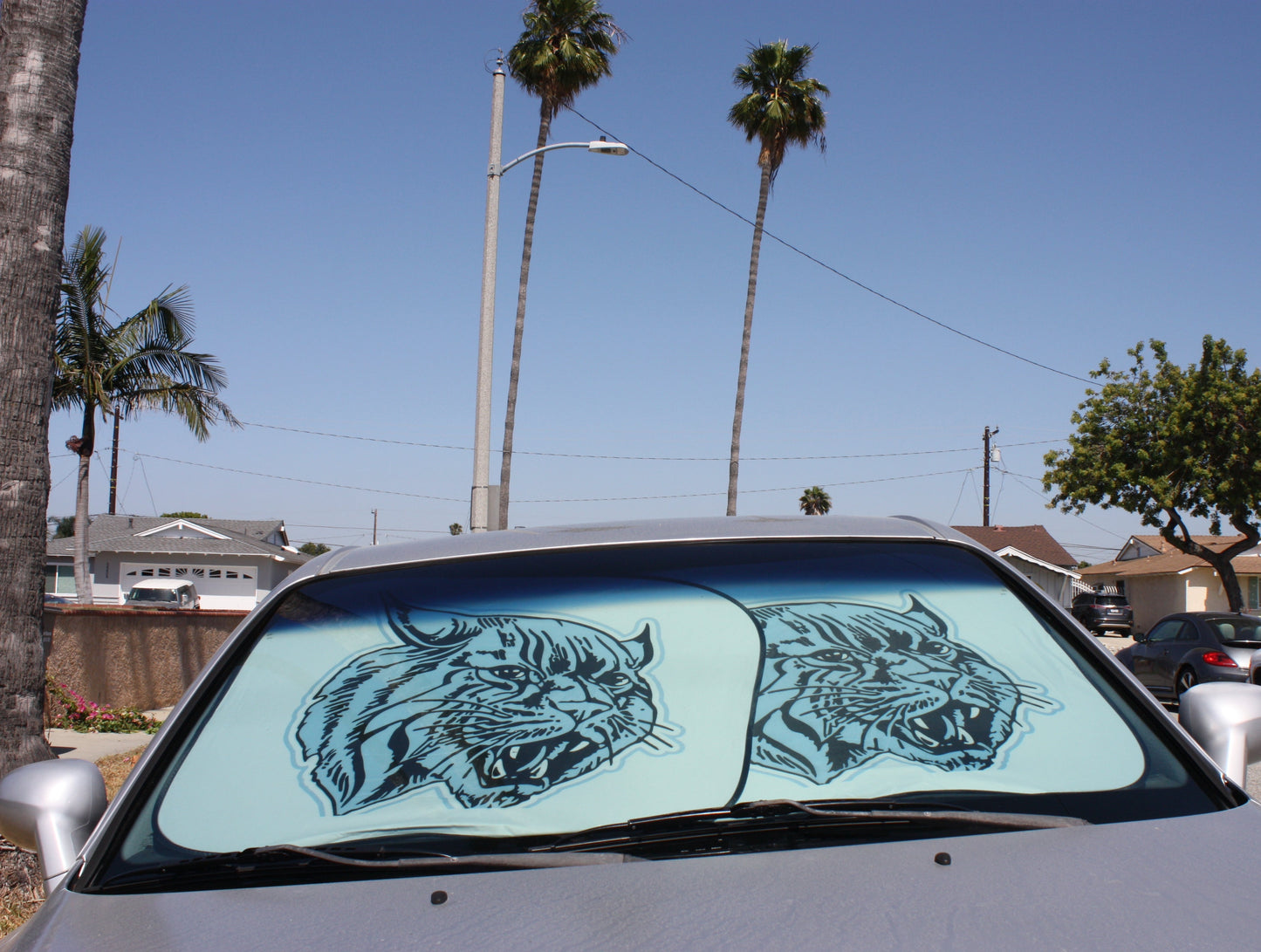 Sun Shade for Schools